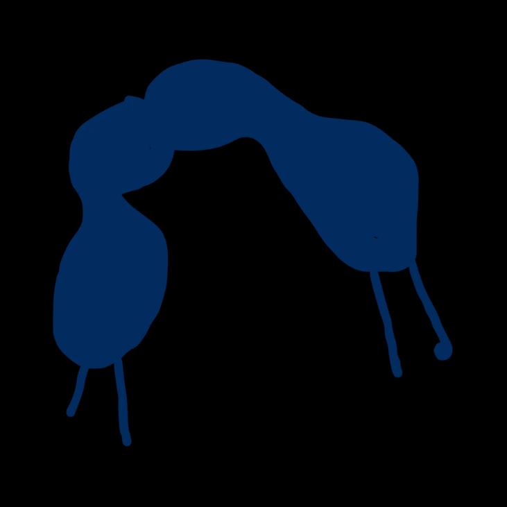 Paz, justiça e instituições eficazes