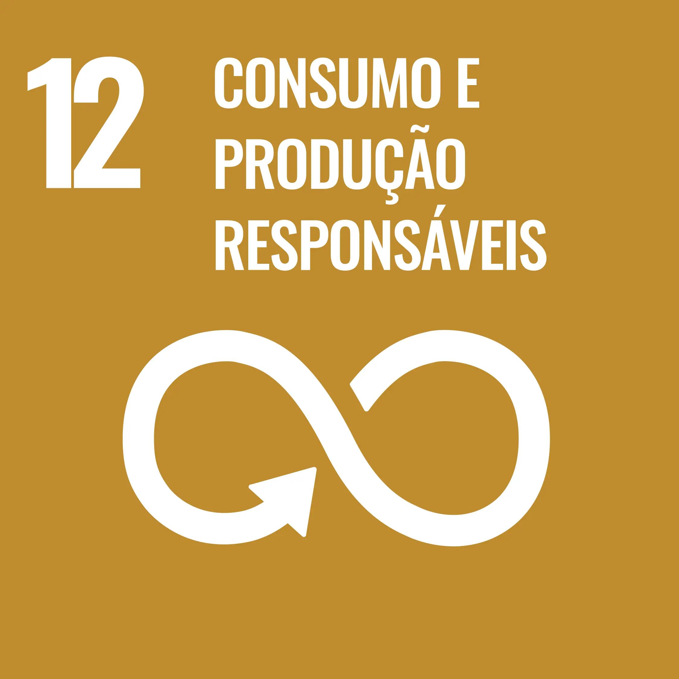 Consumo e produção responsáveis.