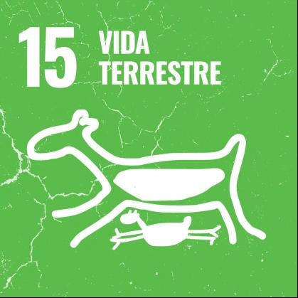Vida Terrestre